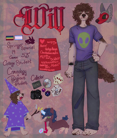 springer spaniel furry